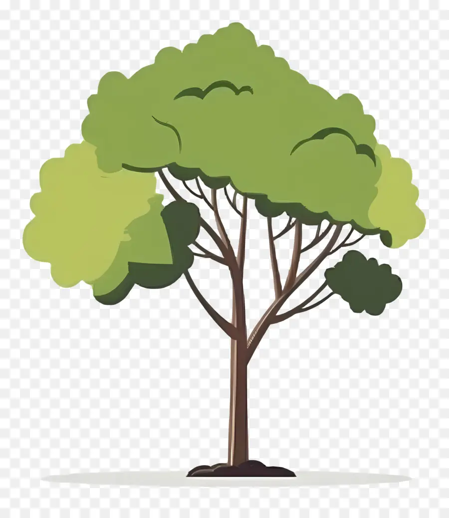 Arbre Minimaliste，Arbre PNG