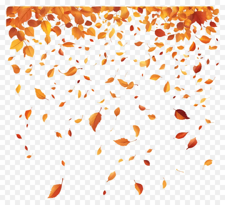 Feuilles Tombées，Feuilles Qui Tombent PNG