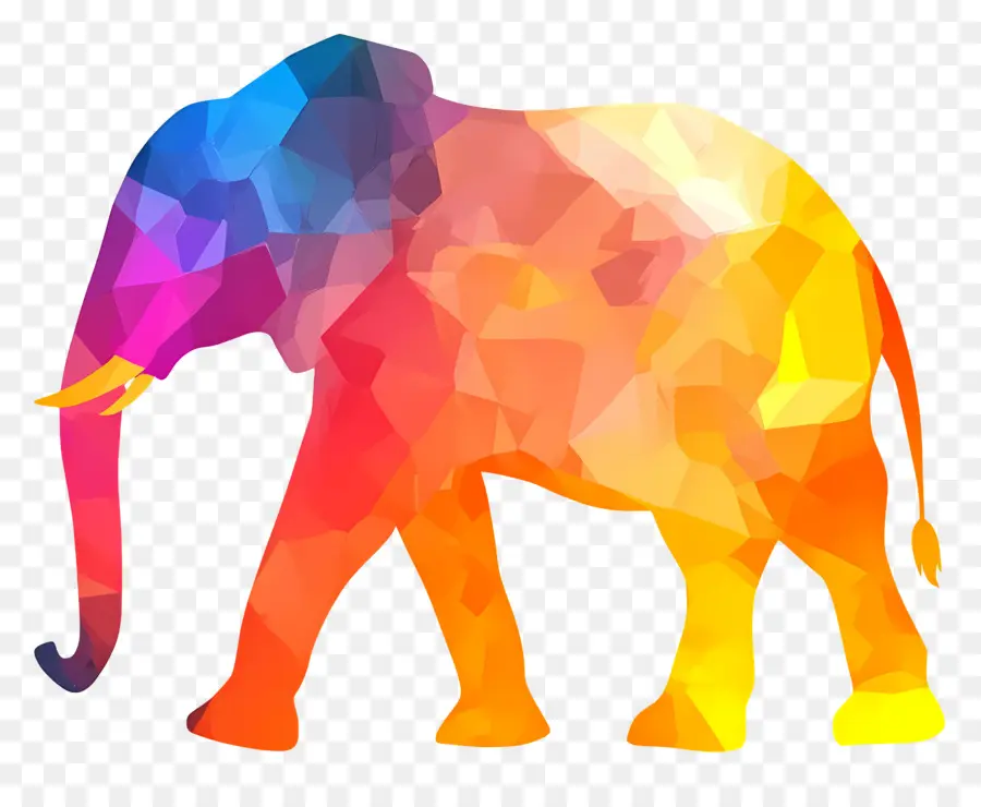 Silhouette D'éléphant，Éléphant Coloré PNG