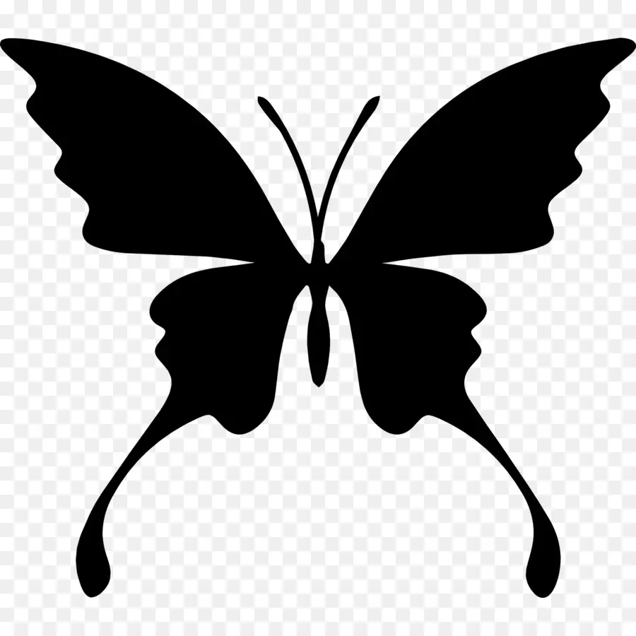 Silhouette De Papillon，Noir PNG