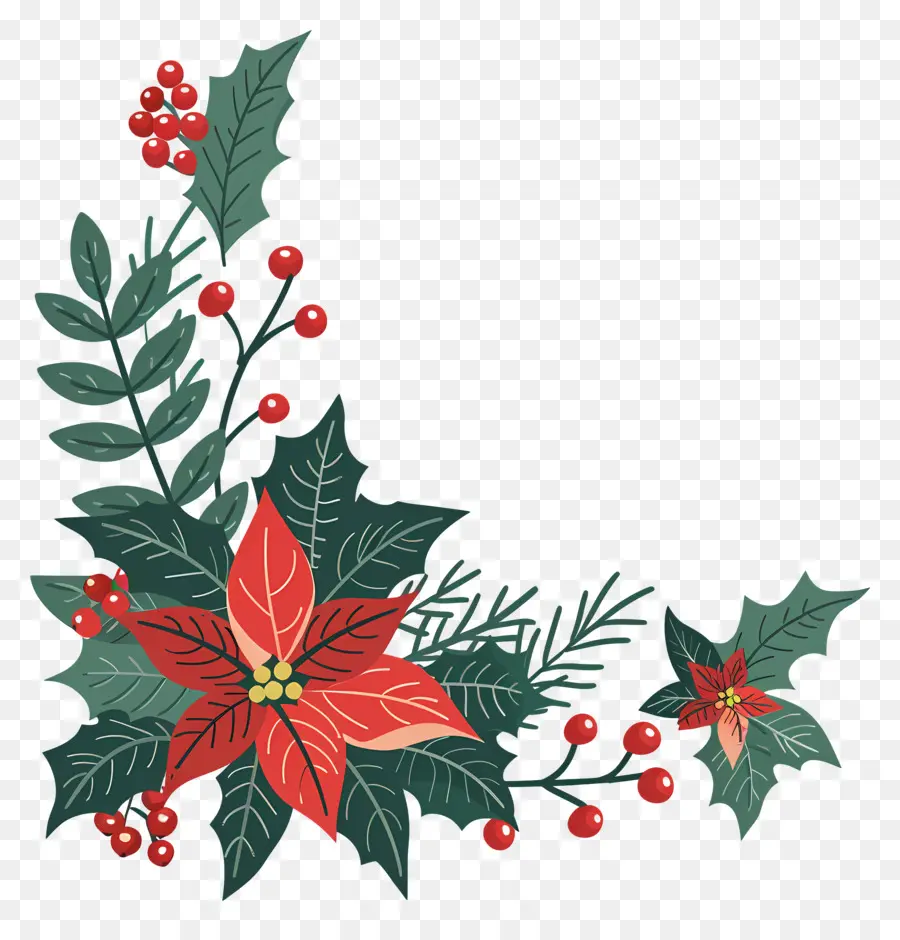 Le Coin De Noël，Poinsettia PNG