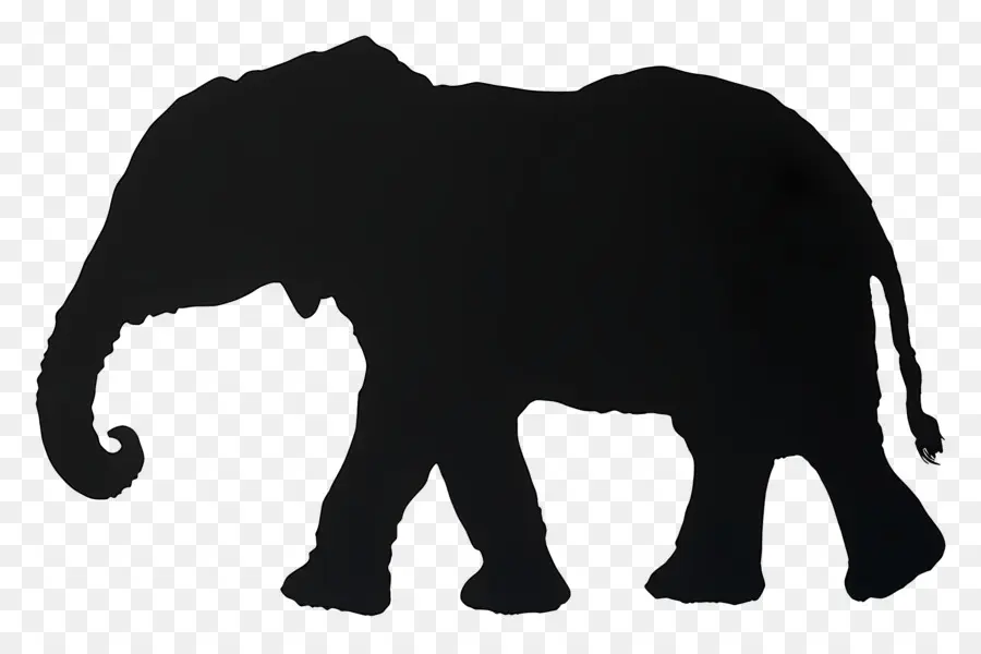 Silhouette D'éléphant，Silhouette D'éléphant Noir PNG