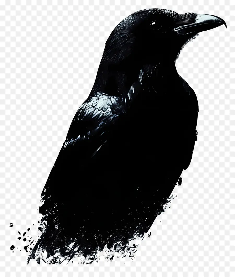 Corbeau Gothique，Corbeau Silhouette PNG