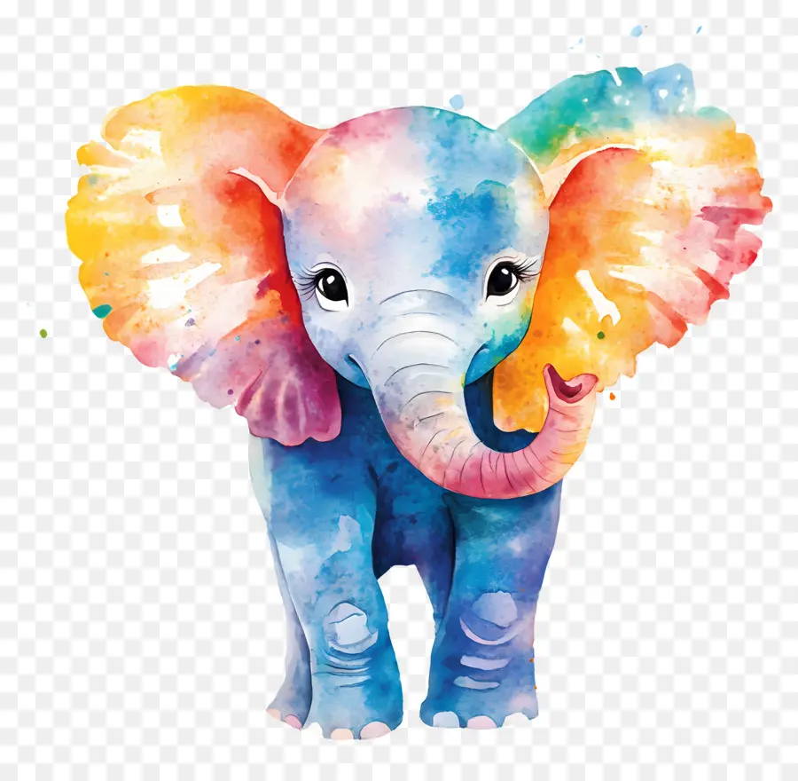 Éléphant Aquarelle，Éléphant Coloré PNG