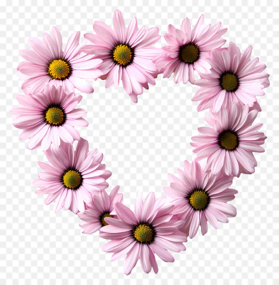 Cadre Coeur，Coeur De Marguerite Rose PNG