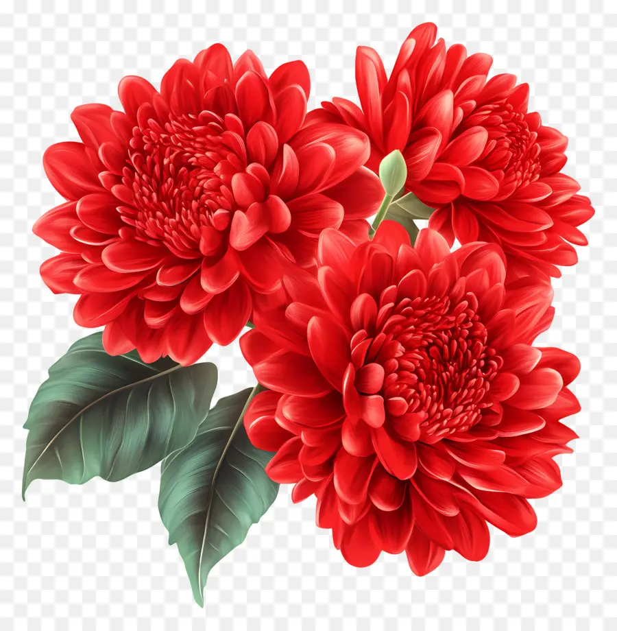 Fête Nationale Chinoise，Chrysanthèmes Rouges PNG