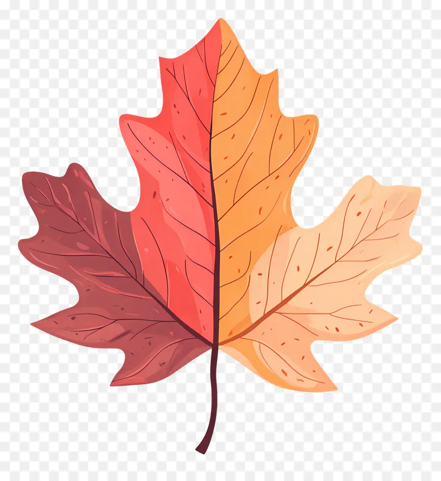 Feuille D'automne Mignonne，Feuille D'automne PNG