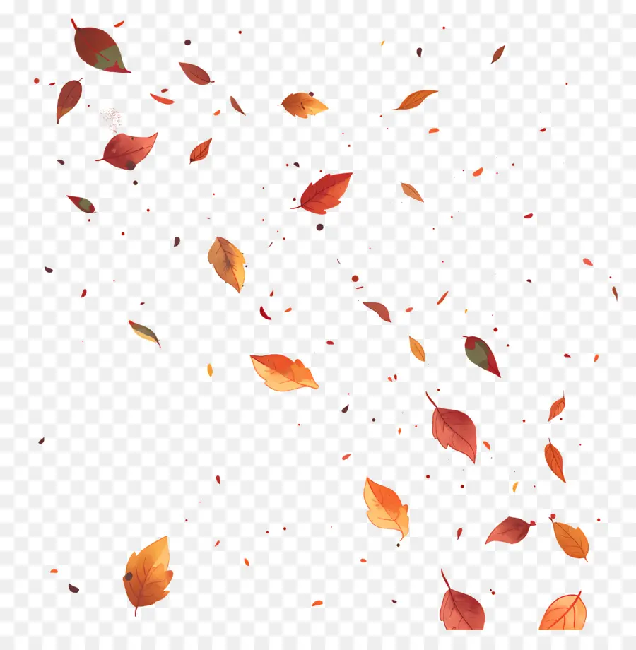 Feuilles Tombées，Feuilles PNG