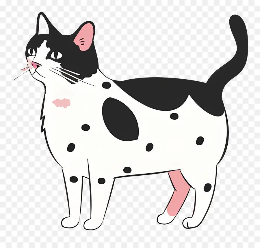 Chat Mignon，Chat Noir Et Blanc PNG