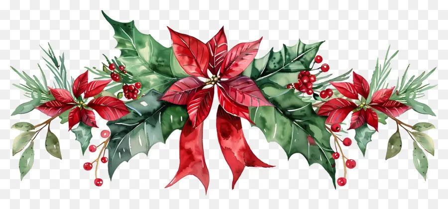 Frontière De Noël，Poinsettia PNG