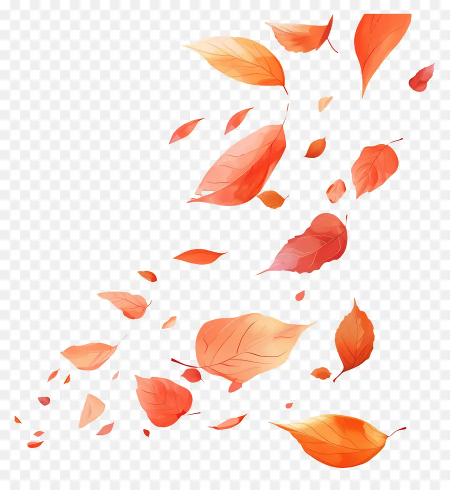 Feuilles Tombées，Feuilles PNG