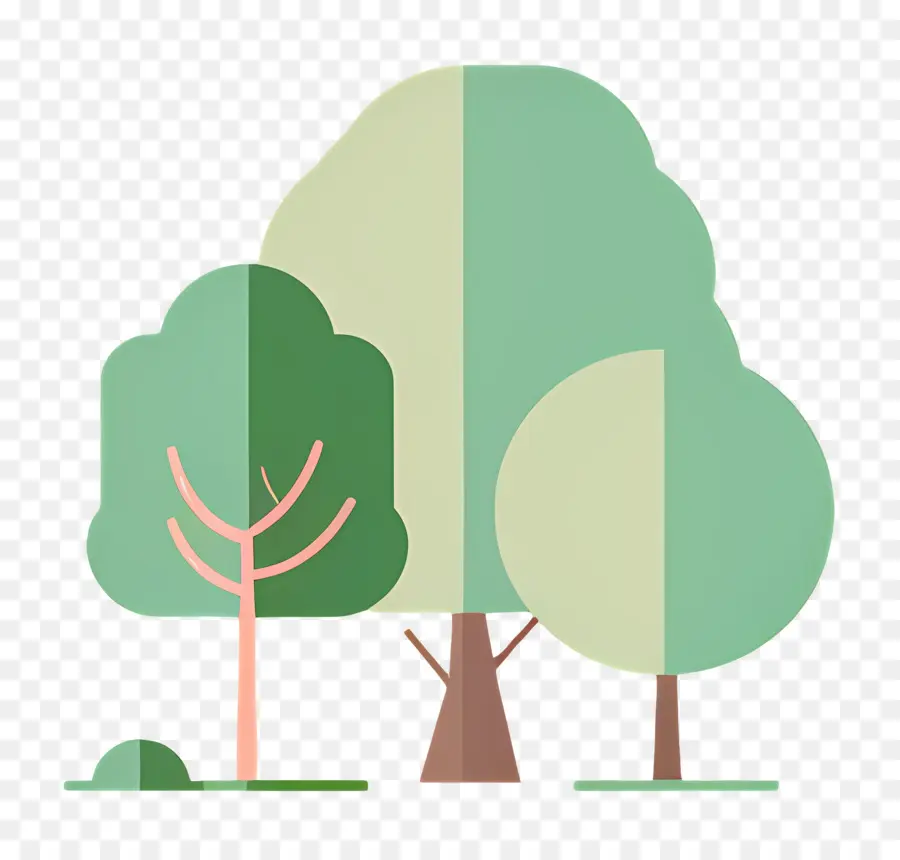 Arbre Minimaliste，Arbres Minimalistes PNG