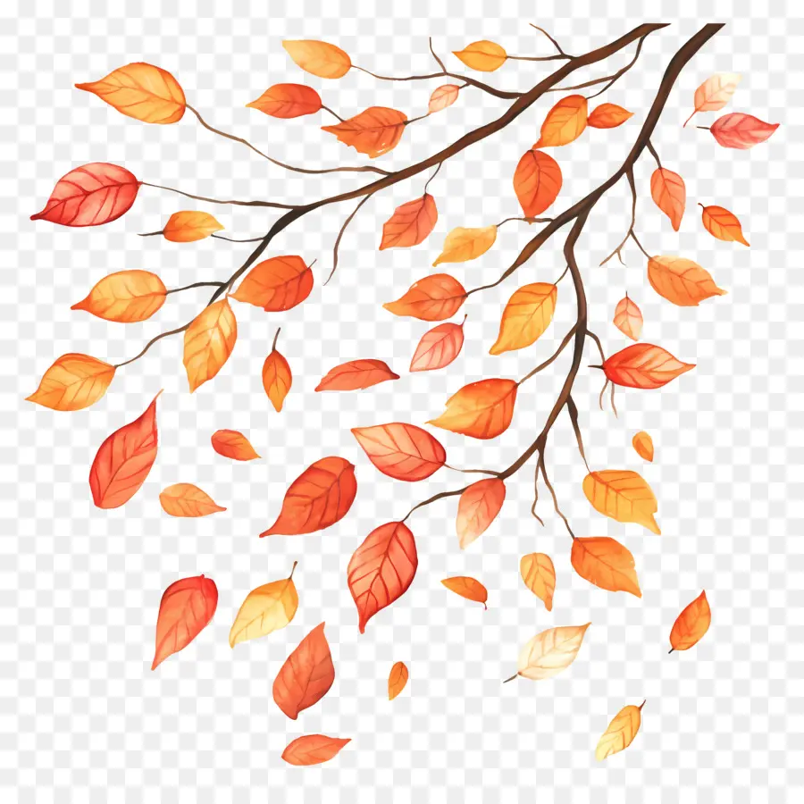 Feuilles Tombées，Feuilles D'automne PNG