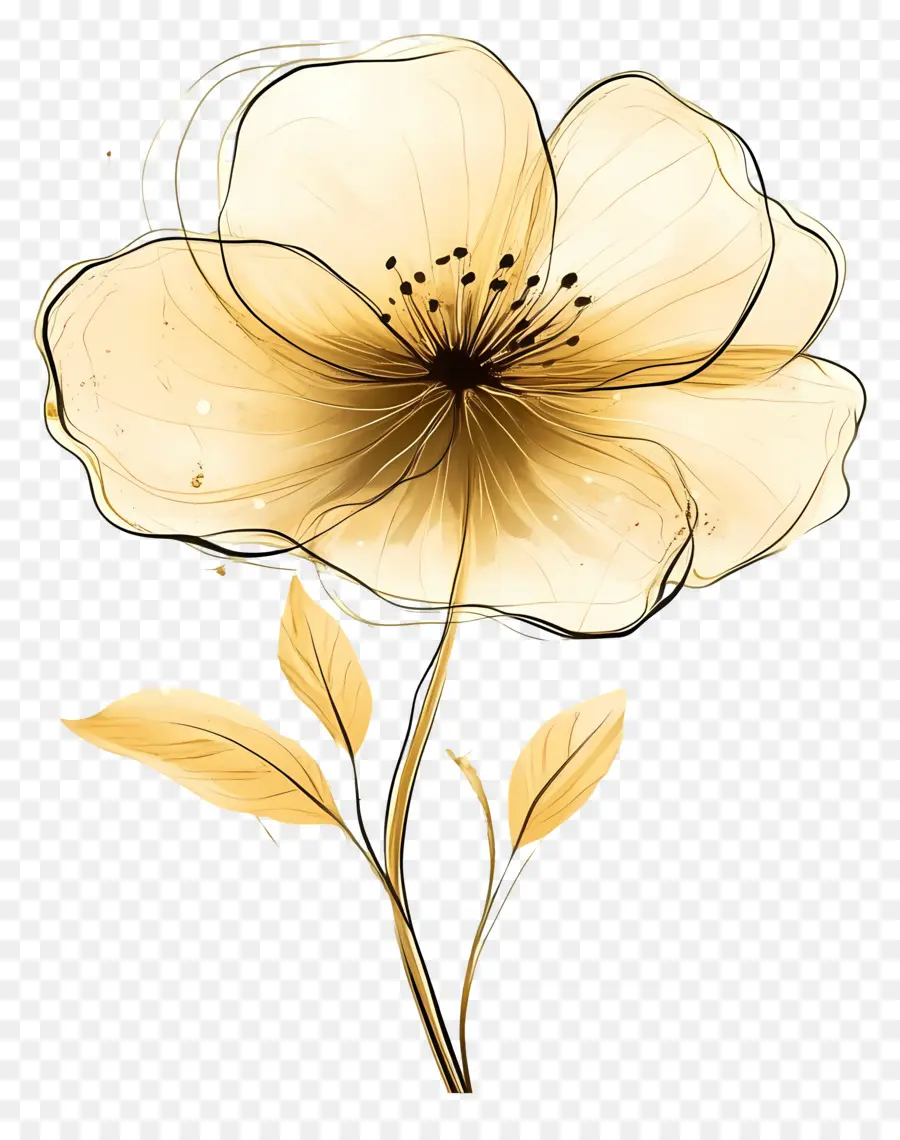 Fleur Or，Fleur D'or PNG