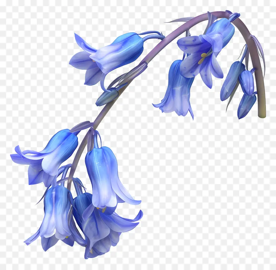 Fleur 3d，Fleurs Bleues PNG