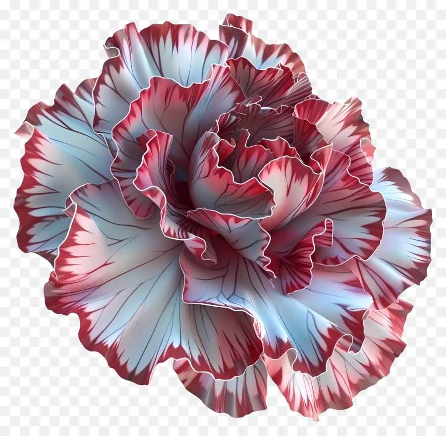 Fleur 3d，Fleur Rouge Et Blanche PNG