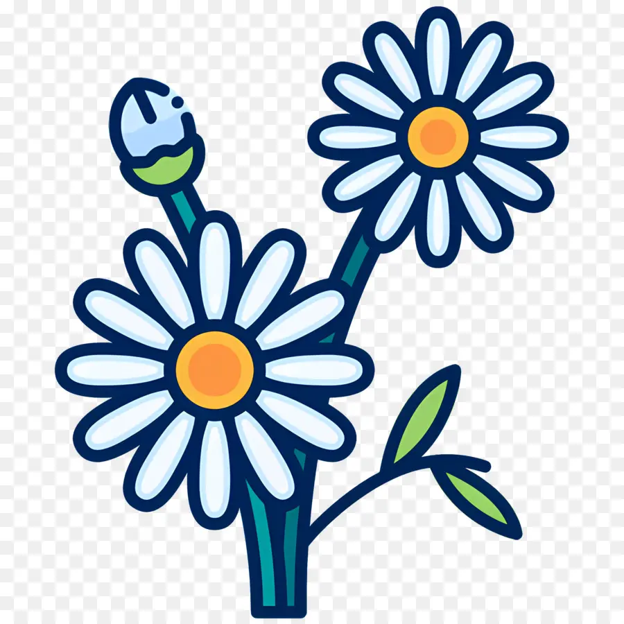 Fleur De Marguerite，Fleurs PNG