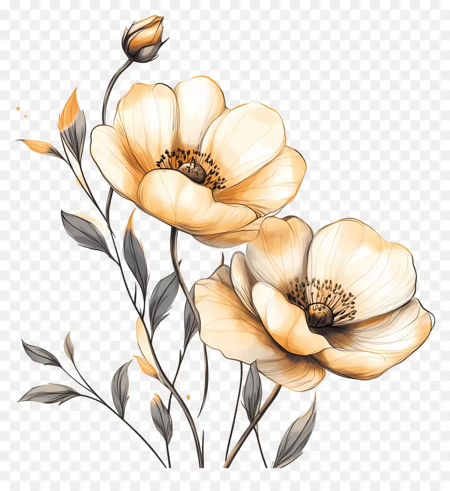 Fleur Or，Fleurs Dorées PNG