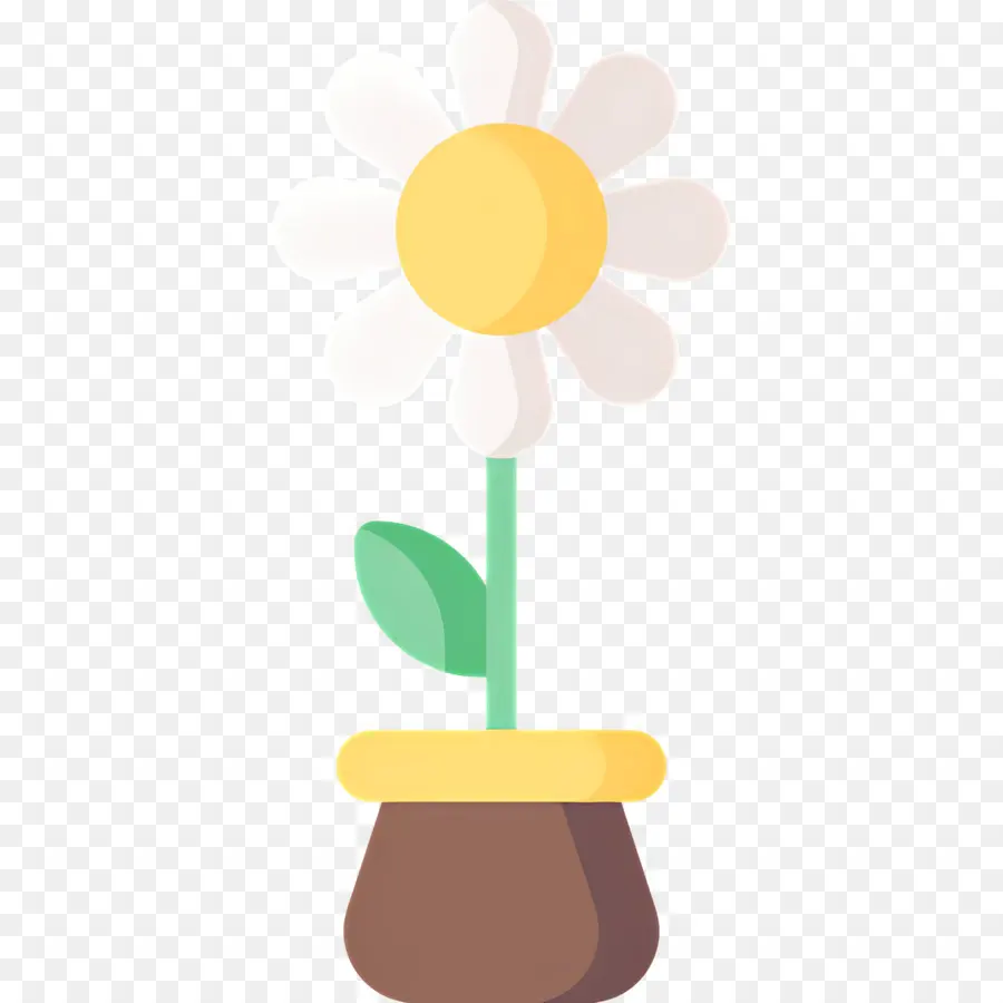 Fleur De Marguerite，Fleur Blanche PNG