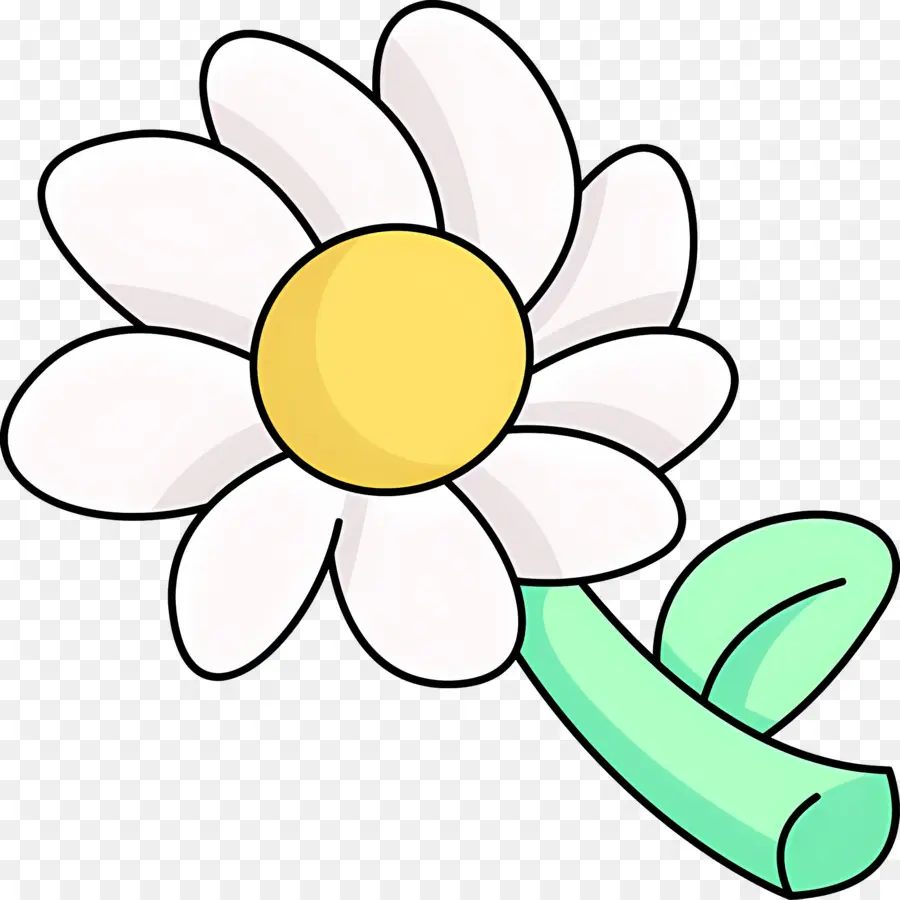 Fleur De Marguerite，Marguerite Blanche PNG