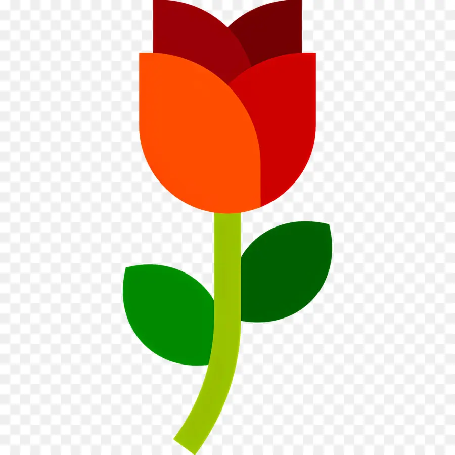 Fleur Rouge，Rose Rouge PNG