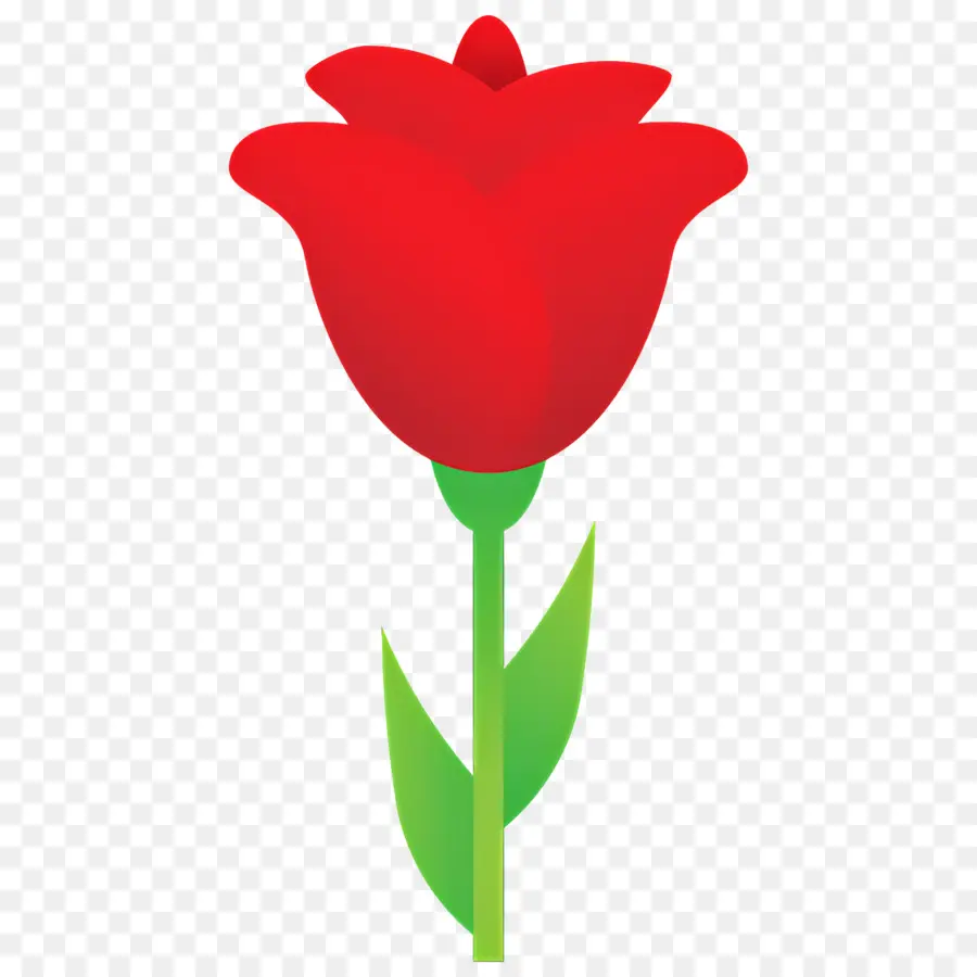 Fleur Rose，Rose Rouge PNG