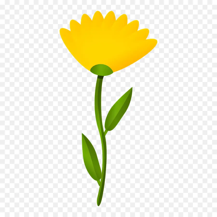 Fleur De Souci，Tournesol PNG