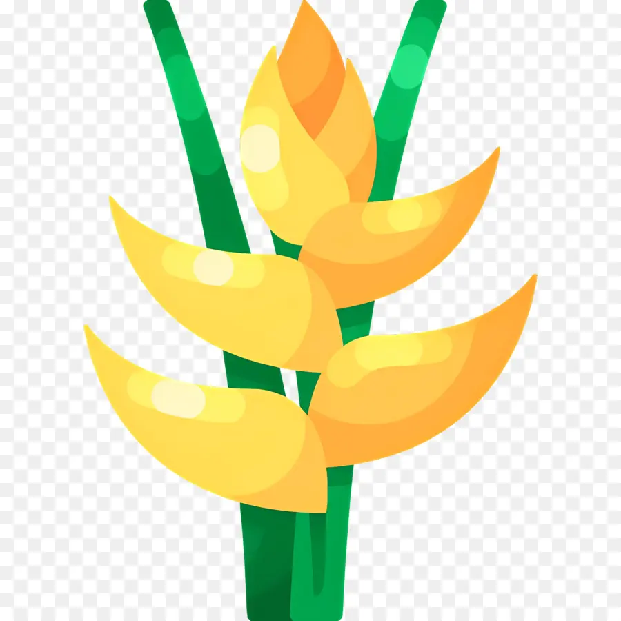 Fleur Tropicale，Plante Jaune PNG