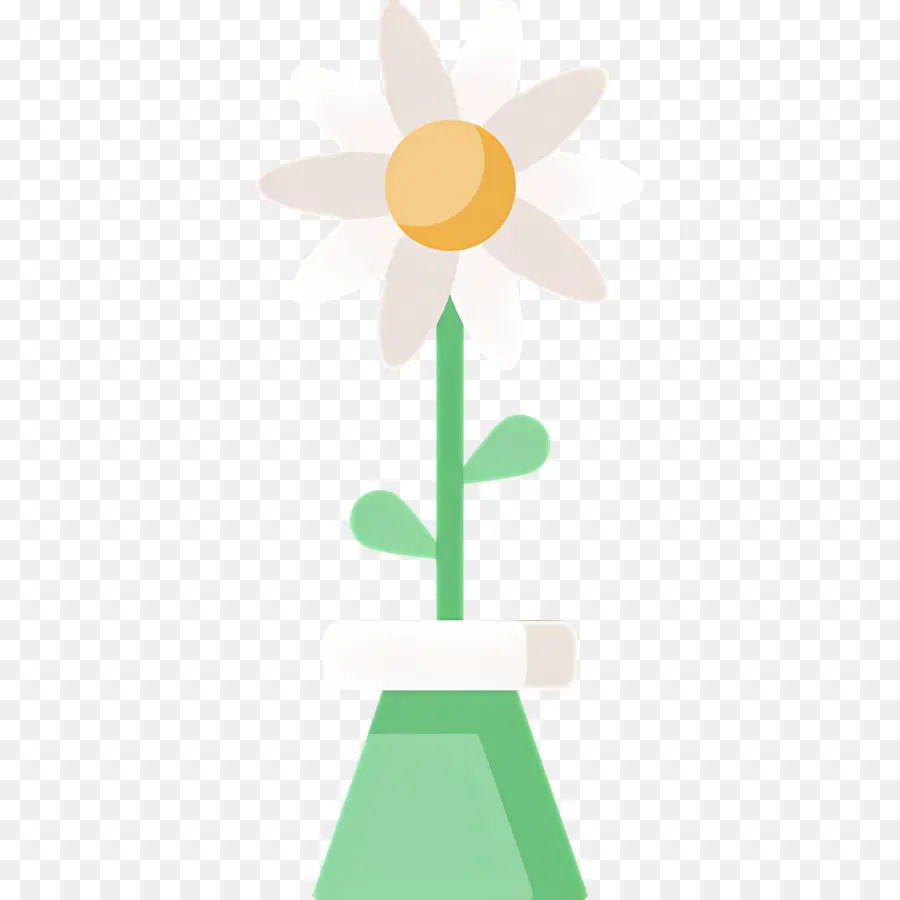 Fleur De Marguerite，Fleur Blanche PNG