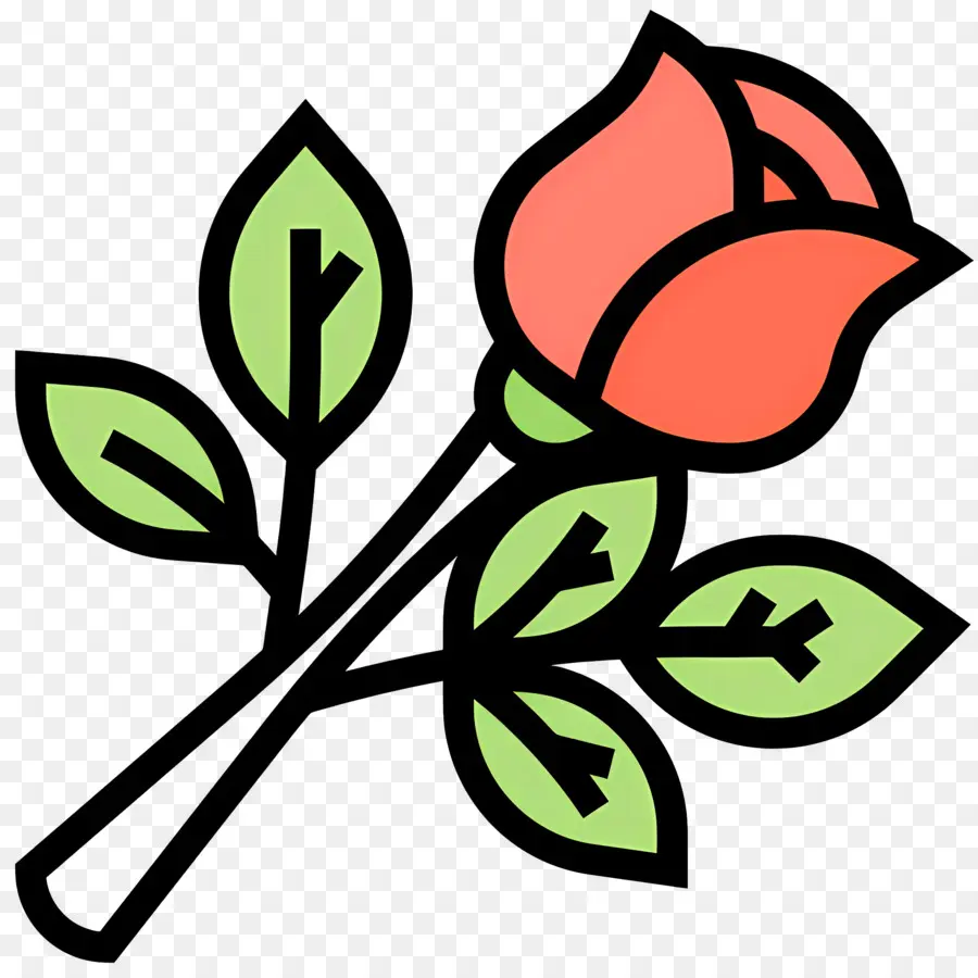 Fleur Rose，Rose Rouge PNG