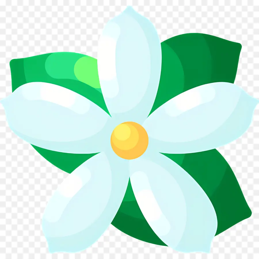 Fleur De Jasmin，Seule Fleur Blanche PNG