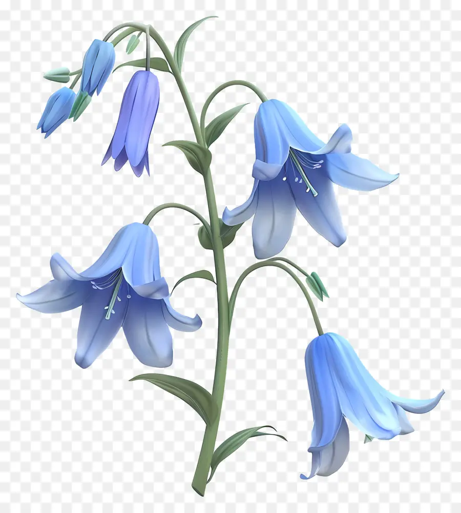 Fleur 3d，Fleurs Bleues PNG