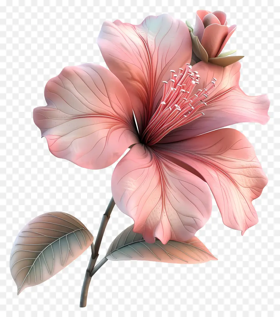 Fleur D'azalée Modèle 3d，Fleur Rose PNG