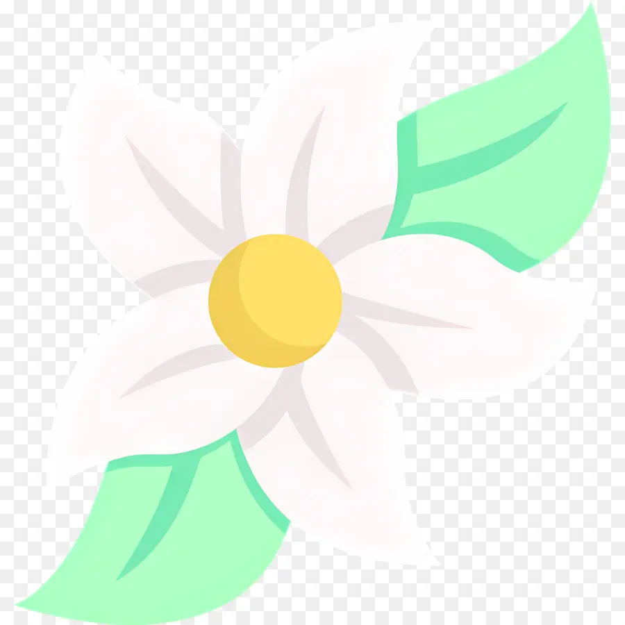 Fleur De Jasmin，Fleur Blanche PNG