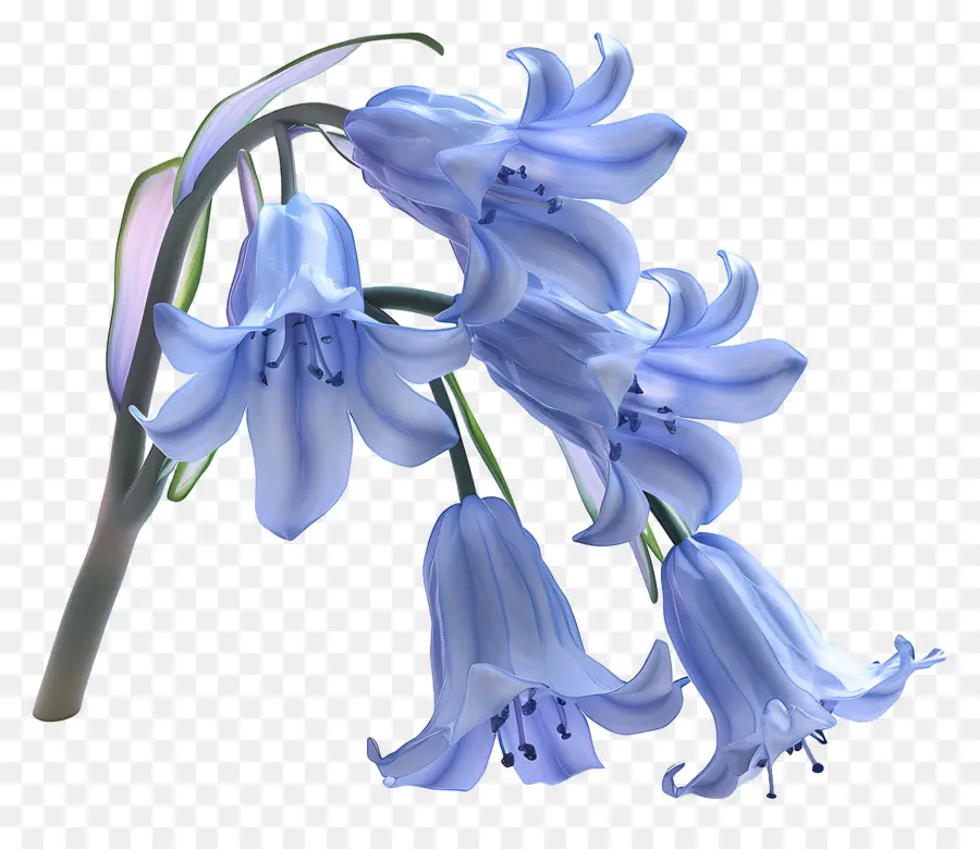 Fleur 3d，Jacinthes Des Bois PNG