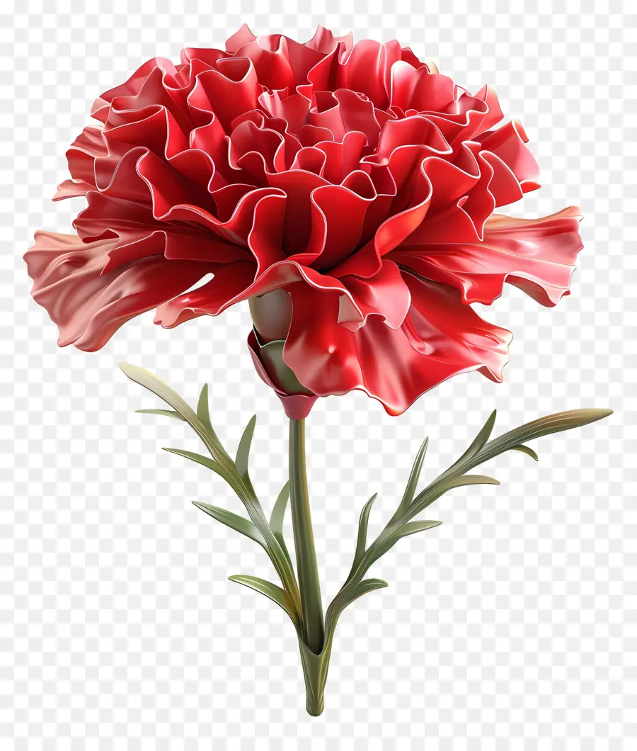 Fleur 3d，Oeillet Rouge PNG