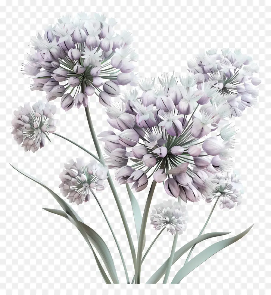 Fleur D'allium Modèle 3d，Fleur Violette PNG