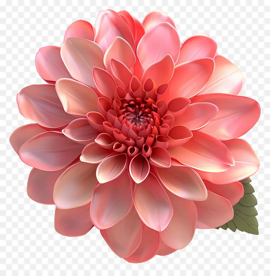 Fleur 3d，Fleur Rose PNG