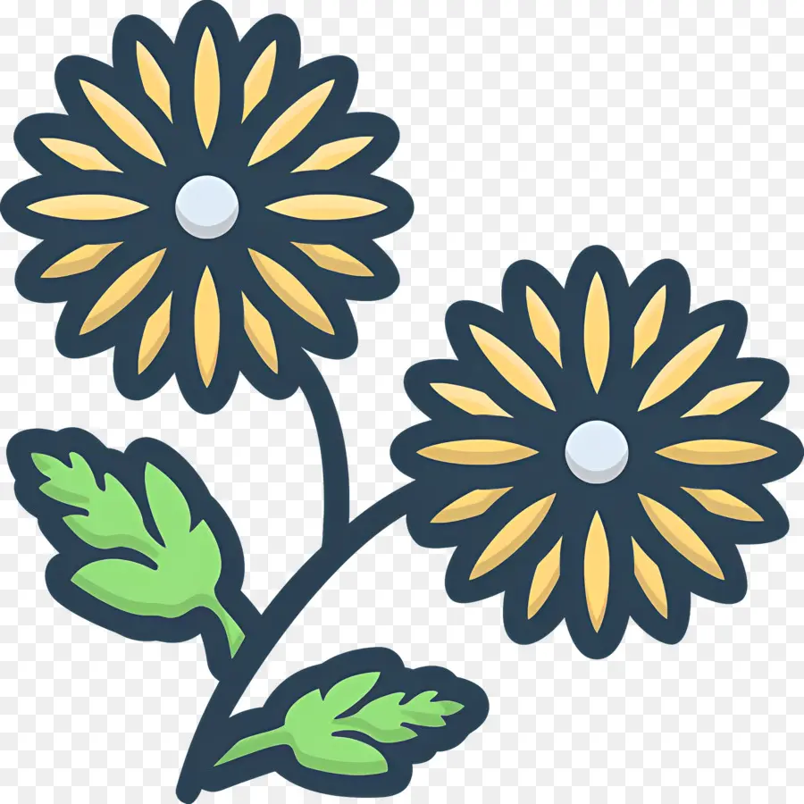 Fleur De Marguerite，Fleur PNG