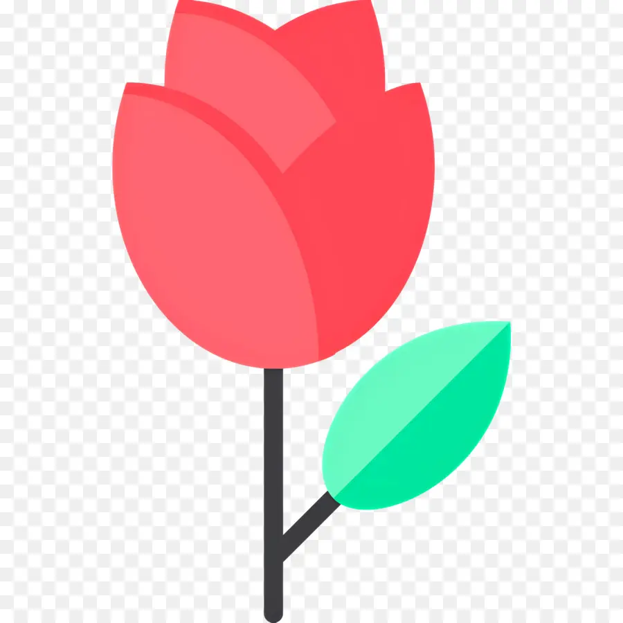 Fleur Rose，Rose PNG