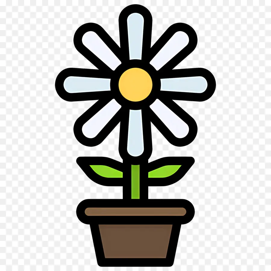 Fleur De Marguerite，Fleur En Pot PNG