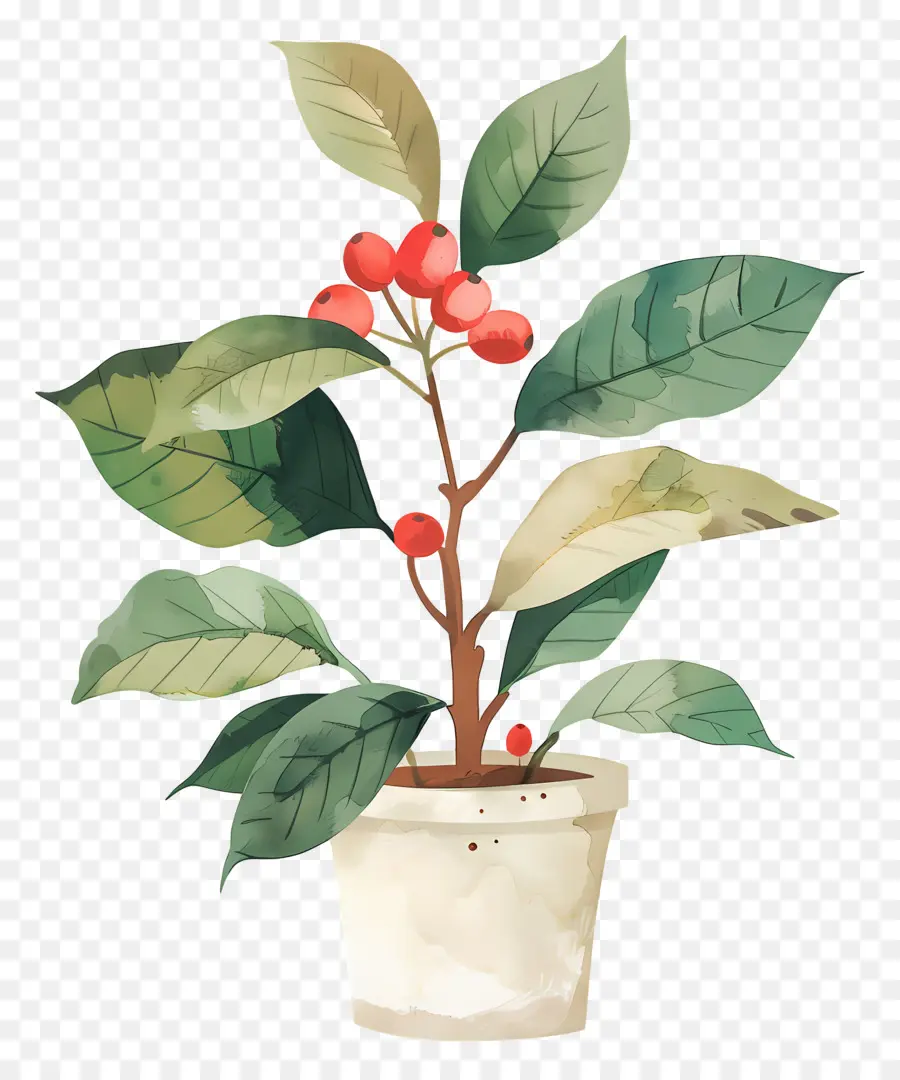 Plante Aquarelle，Plante En Pot PNG