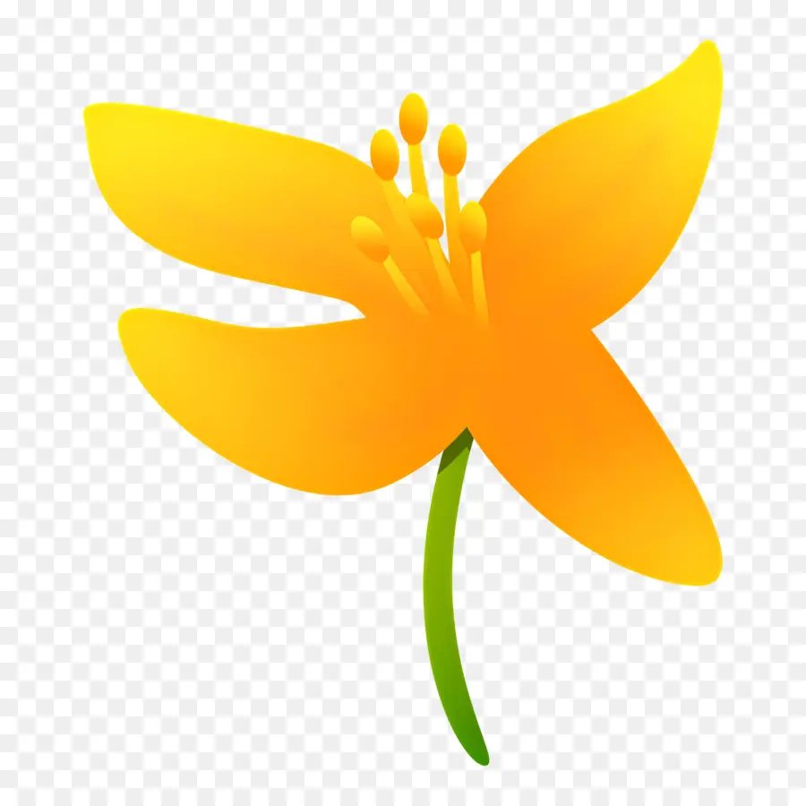 Fleur Jaune，Lys Jaune PNG