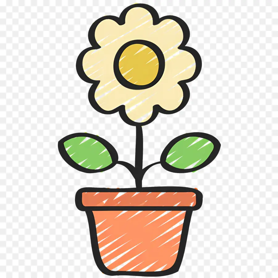 Fleur De Marguerite，Pot De Fleur PNG