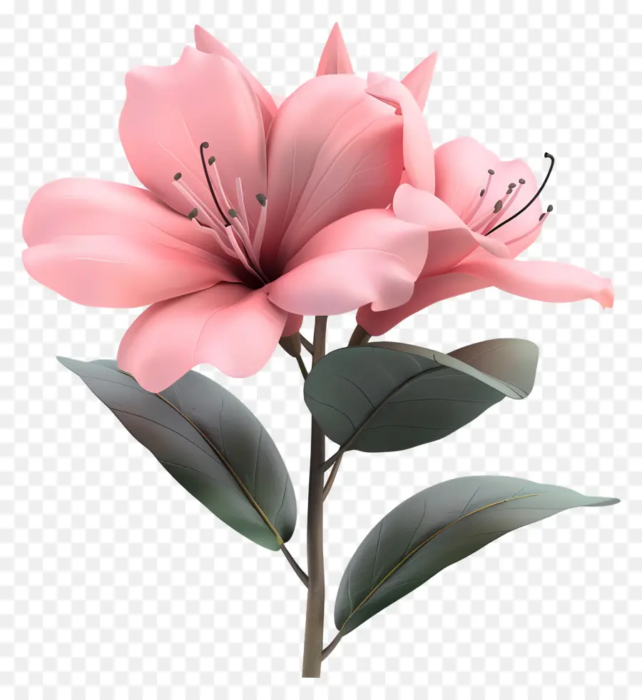 Fleur D'azalée Modèle 3d，Fleurs Roses PNG