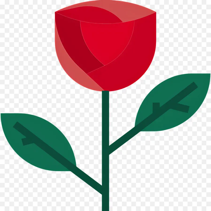 Fleur Rose，Tige De Rose PNG