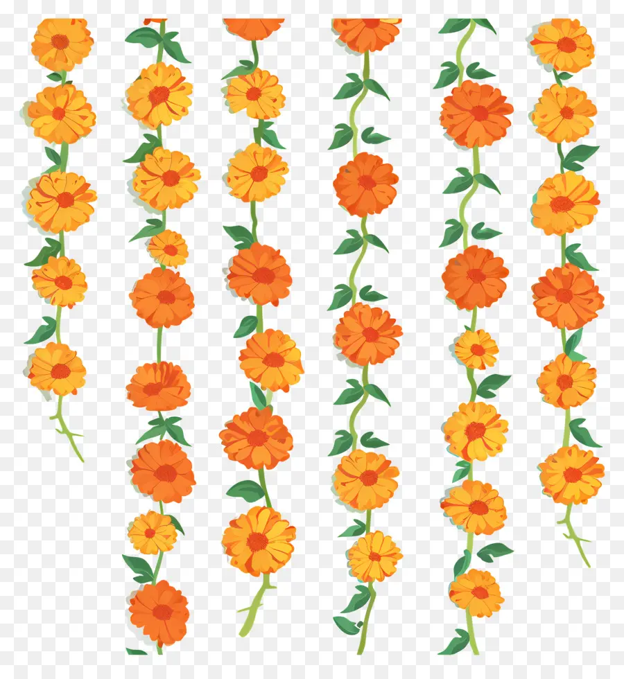 Guirlande De Soucis，Fleurs PNG