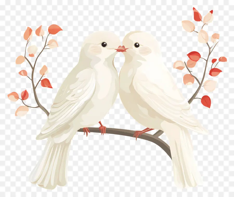 Oiseaux De Mariage，Oiseaux Blancs Sur Branche PNG