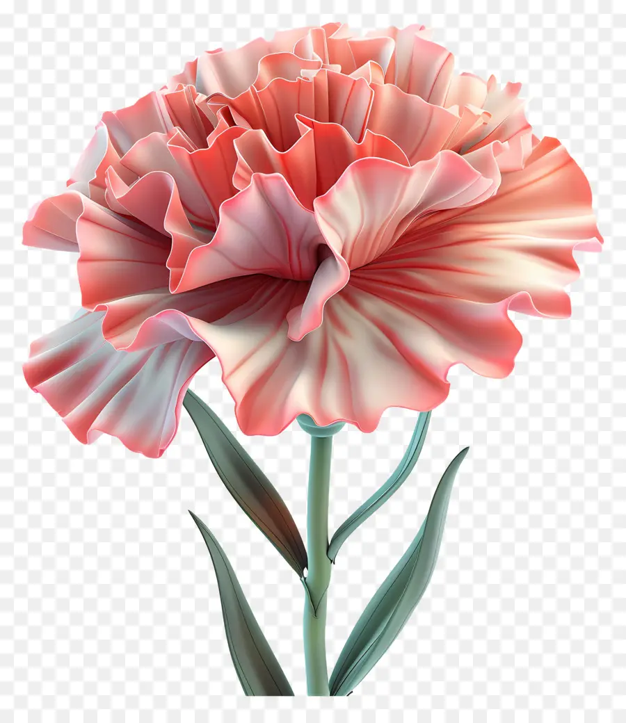 Fleur 3d，Oeillet Rouge PNG