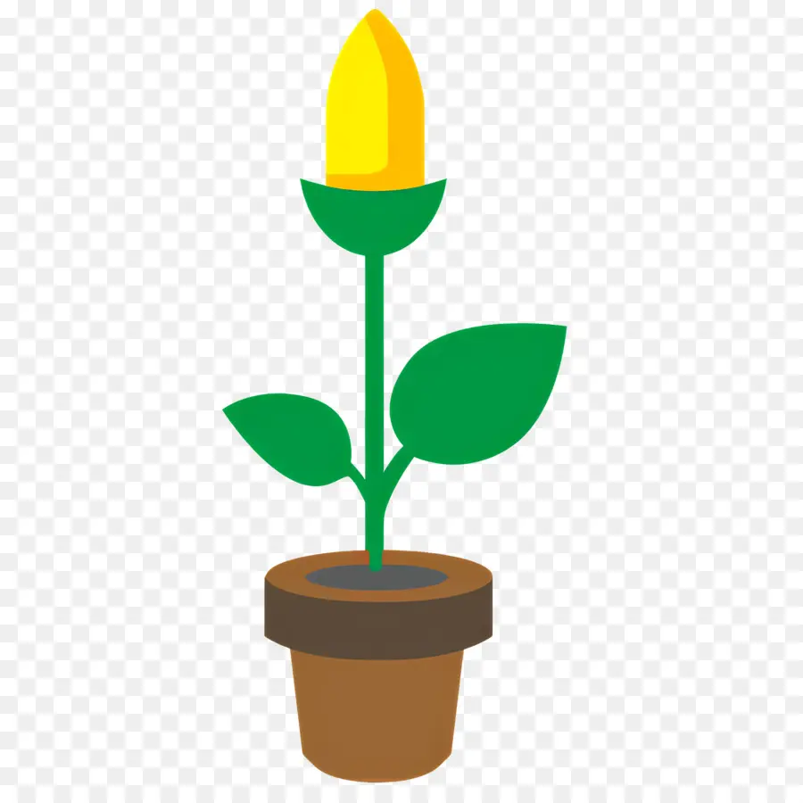 Fleur Jaune，Bourgeon Jaune En Pot PNG